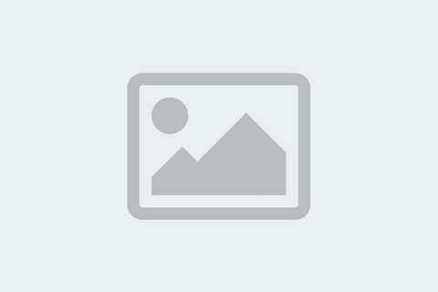 Action Machinery Communication 2026